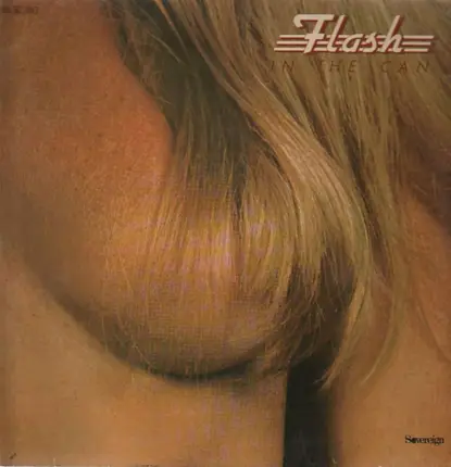 Flash - In the Can