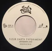 Fleur Earth Experiment - Zeitleiden  / Unbegreiflich