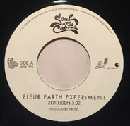 Fleur Earth Experiment - Zeitleiden  / Unbegreiflich