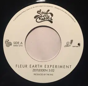 fleur earth experiment - Zeitleiden  / Unbegreiflich