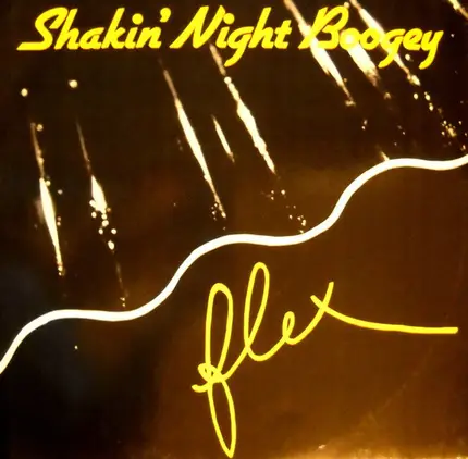 Flex - Shakin' Night Boogey