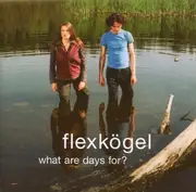 CD - Flexkögel - What Are Days For?