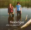 CD - Flexkögel - What Are Days For?
