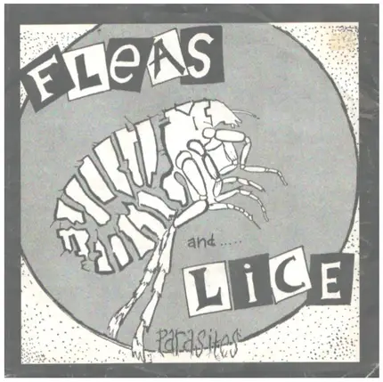 Fleas And Lice - Parasites