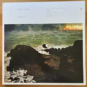 Double LP - Fleet Foxes - Crack-Up