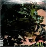 LP - Fleetwood Mac - MR. Wonderful - 180gr. Audiophile Vinyl