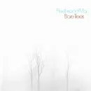 CD - Fleetwood Mac - Bare Trees