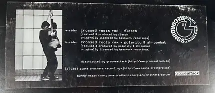 Flesch / Polarity & Shroombab - Crossed Roots (Rmx)