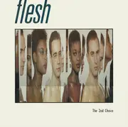 12inch Vinyl Single - Flesh - The 2nd Choice