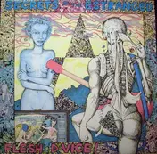 Flesh D-Vice - Secrets Of The Estranged