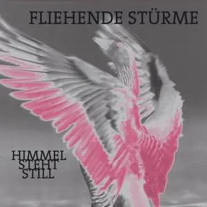 FLIEHENDE STURME - HIMMEL STEHT.. -REISSUE-