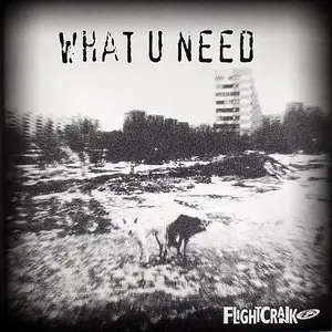 Flightcrank - What U Need