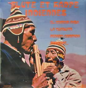 Flute et Harpe Indiennes - Flute et Harpe Indiennes