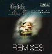 Flutlicht - The Fall (Remixes)