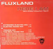 12inch Vinyl Single - Fluxland Featuring G.R.M. - Here I Am