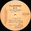 12inch Vinyl Single - Fluxland - Fluxland E.P.