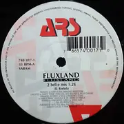 12inch Vinyl Single - Fluxland - Fluxland