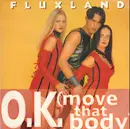 12inch Vinyl Single - Fluxland - O.K. (Move That Body)