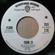 Fludd - Turn 21