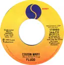 7inch Vinyl Single - Fludd - Cousin Mary - Mono