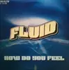 12inch Vinyl Single - Fluid - How Do You Feel