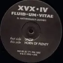 12inch Vinyl Single - Fluid-Um-Vitae - Unzip