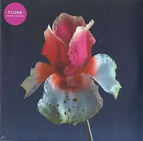 Flume - Tiny Cities/Take A Chance (remixes)