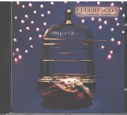 Fluorescein - High Contrast Comedown