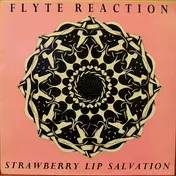 The Flyte Reaction - Strawberry Lip Salvation