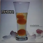 Flycatcher - Ovulation