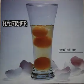 Flycatcher - Ovulation