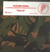 12inch Vinyl Single - Flying Pupa - Can It