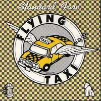 Flying Taxi - Standard Fare