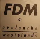 7inch Vinyl Single - Flying Disc Men - Avalanche / Wastelands