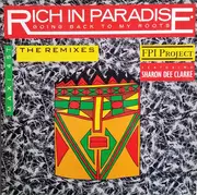 12inch Vinyl Single - FPI Project Featuring Sharon Dee Clarke - Going Back To My Roots - The Remixes