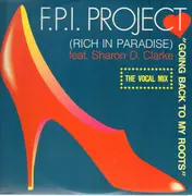 12inch Vinyl Single - FPI Project - Going Back To My Roots