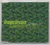 CD - Frogcircus - Zeitgeist EP
