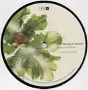 12inch Vinyl Single - From Karaoke To Stardom - Loopism Opossum