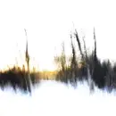 LP - Frontier(s) - There Will Be No Miracles Here - Orange