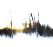Frontier(S) - There Will Be No Miracles