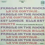 12inch Vinyl Single - Fragile On The Rocks - La Vie Continue