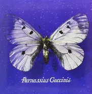 Francesco Guccini - Parnassius Guccinii