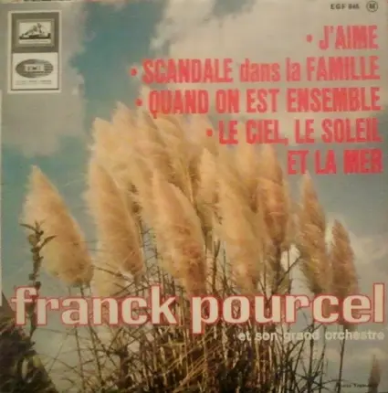 Franck Pourcel Et Son Grand Orchestre - Franck Pourcel Et Son Grand Orchestre