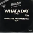 12inch Vinyl Single - Frank Duval - What A Day