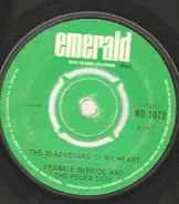 Frankie McBride And The Polka Dots - The Blackboard Of My Heart