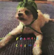 FRANKIE COSMOS