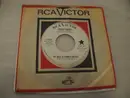 7inch Vinyl Single - Frankie Randall - The Girls In Summer Dresses / The Love Affair Was Through