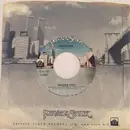 7inch Vinyl Single - Frankie Valli - Rainstorm