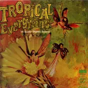 Frank Valdor's Tropic Beats - Tropical Evergreens