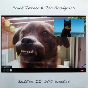 Frank Turner - Buddies II: Still Buddies